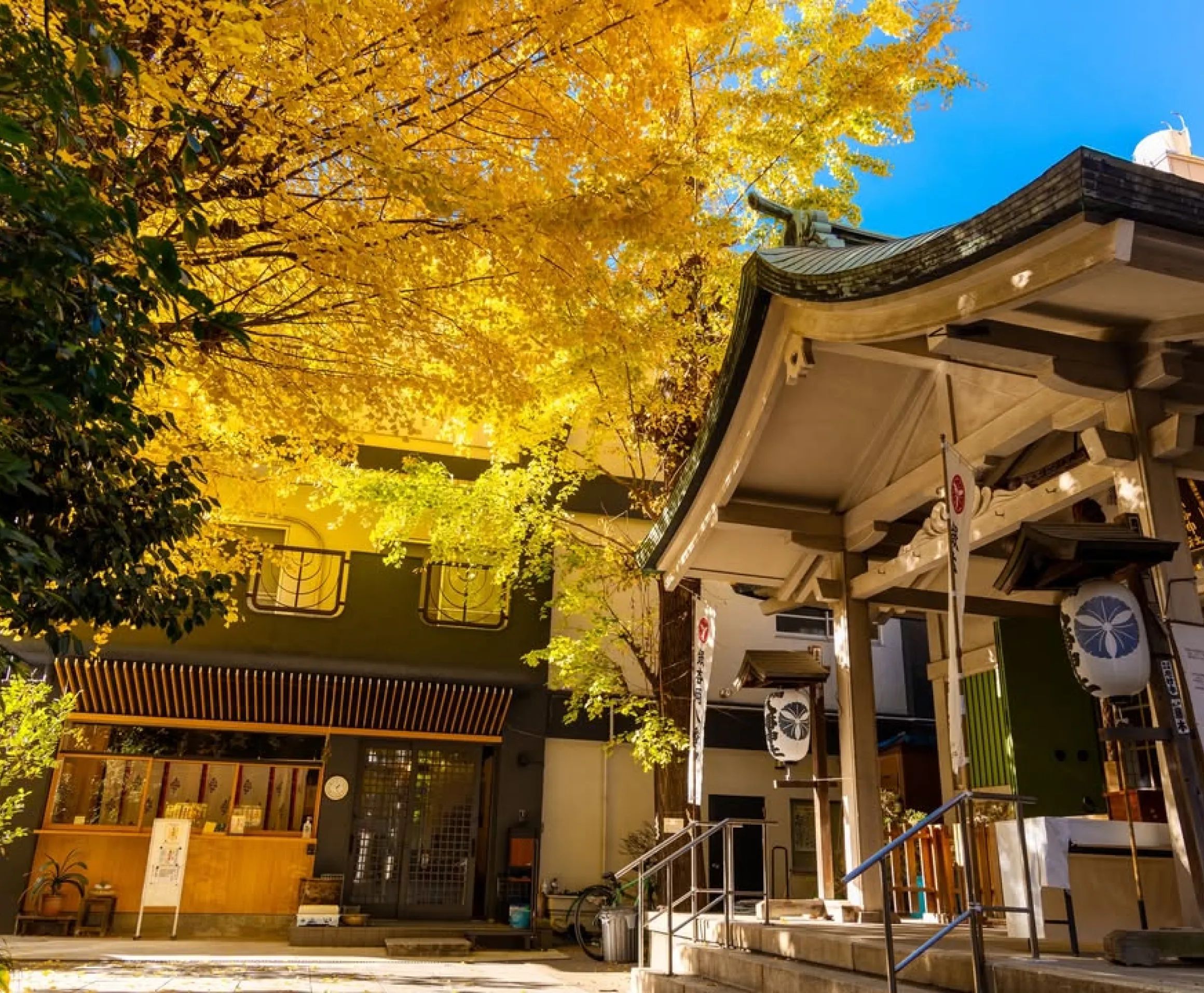 秋の神社境内と黄色く色づいた木々
