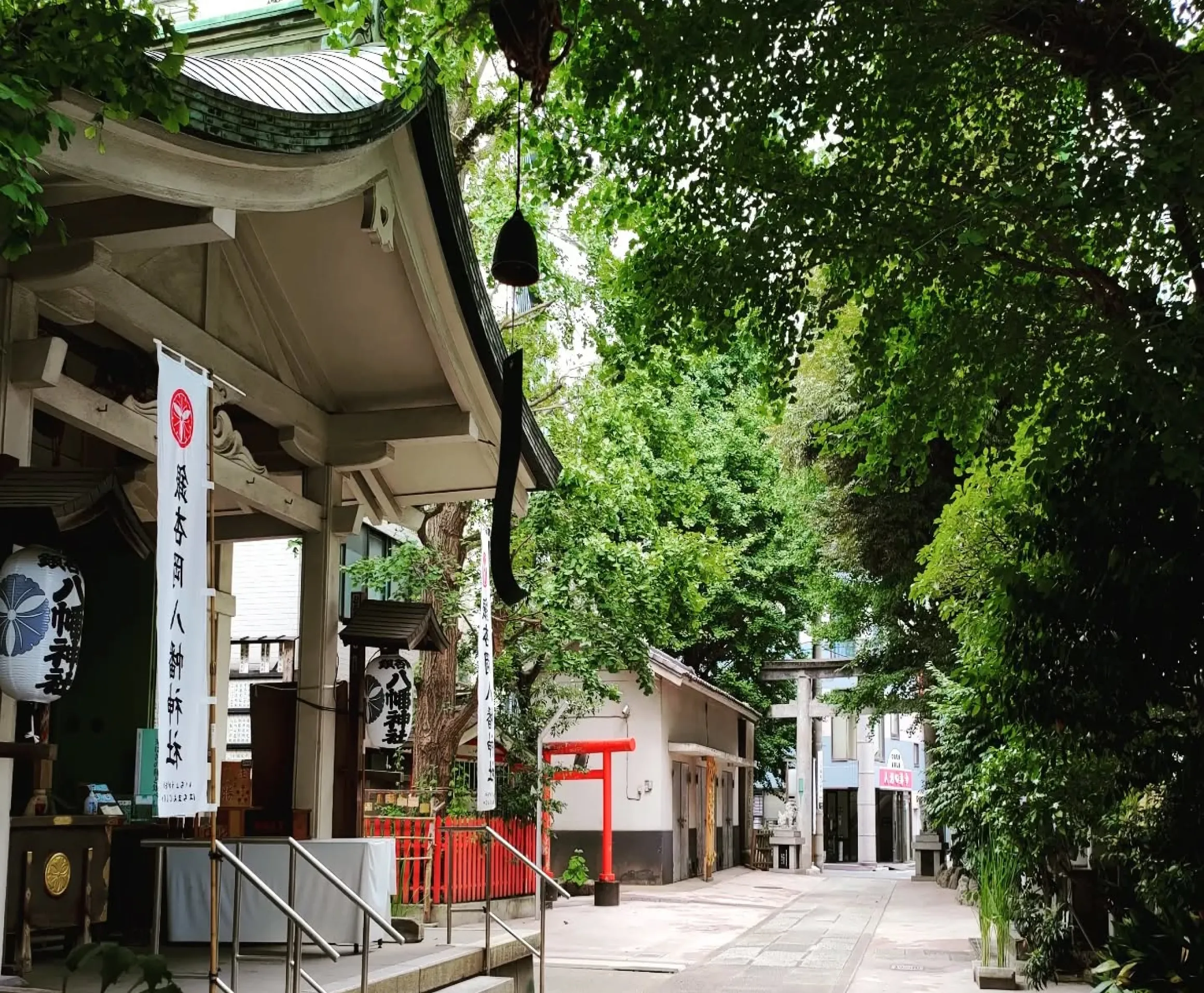 緑に囲まれた神社の境内