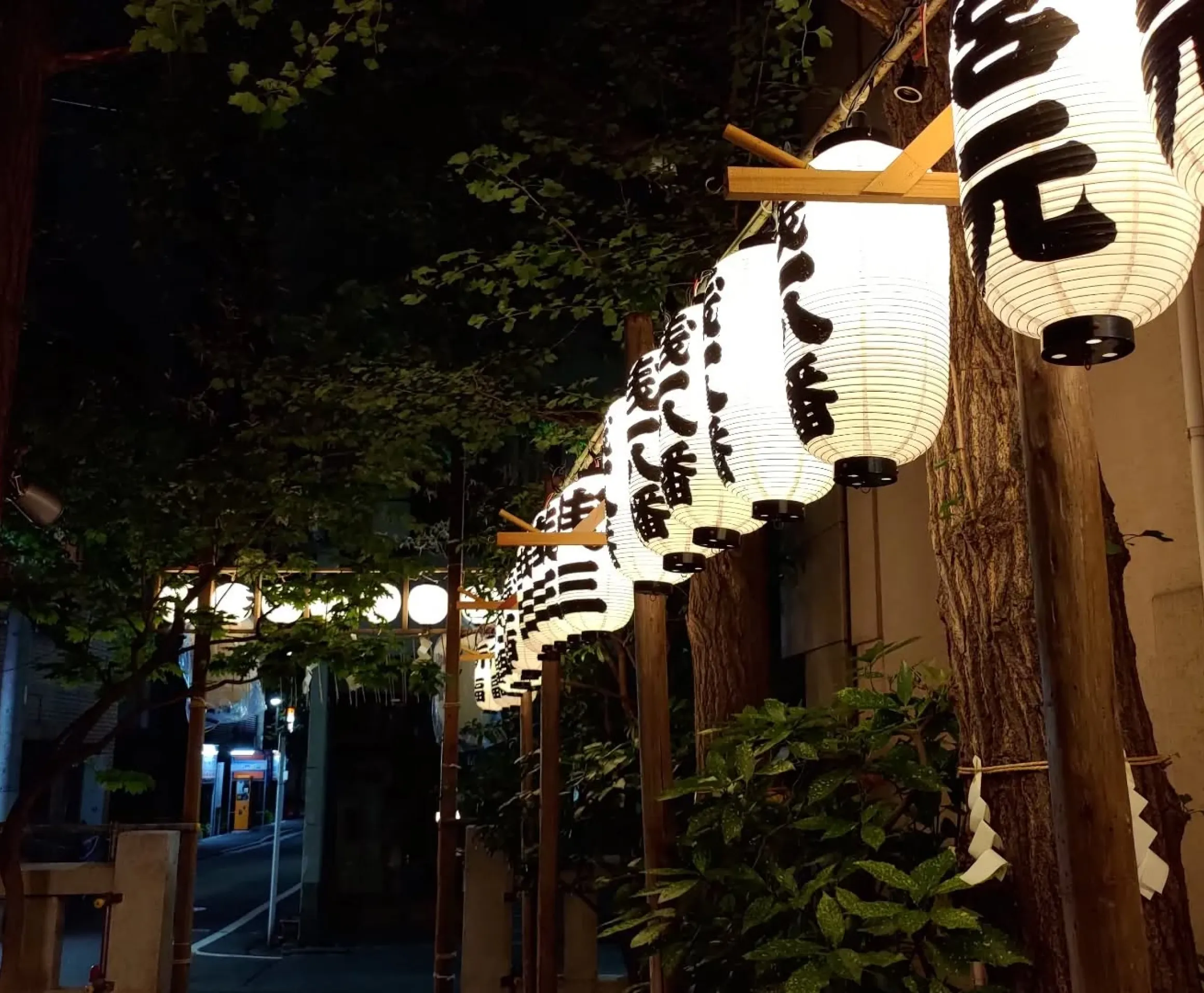 夜の街路に並ぶ和風の白い提灯